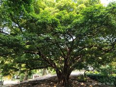 -晓港公园