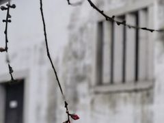-乌山风景区