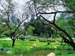 -人民公园(罗湖区)