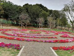 -王借岗森林公园