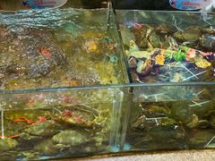 -快乐海鲜酒楼(滇池路店)