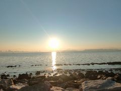 -深圳湾公园(南山区)
