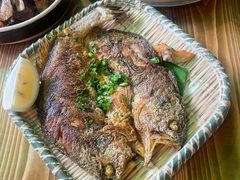 香煎黄花鱼-和记菜馆