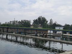 -特种渔场