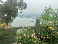 -乐山大佛风景名胜区乌尤寺南门-售票点