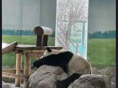 -临沂动植物园