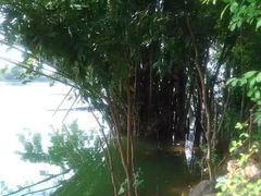 -扬美古镇景区