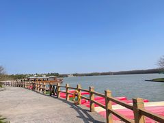 -上海海湾国家森林公园