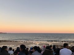 企鵝海灘-企鹅岛