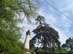 -潭柘寺景区