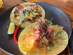 -Pistolera Mexican Cantina女枪手墨西哥餐厅(碧云路店)