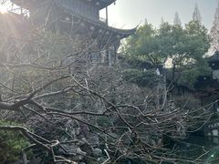 -胡雪岩故居