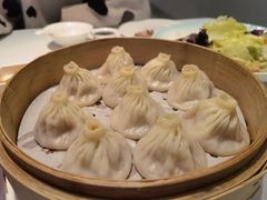 -同庆楼(华强吾悦广场店)
