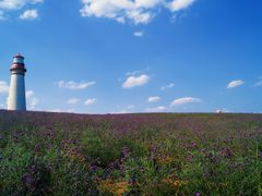 -紫颐香薰山谷景区