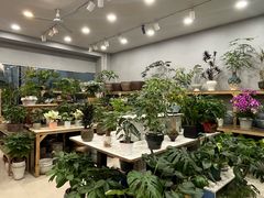 -双季花艺园艺市场(浦东店)