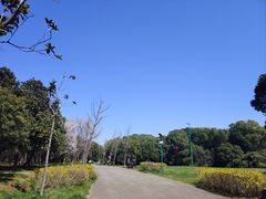 -蜀冈西峰生态公园