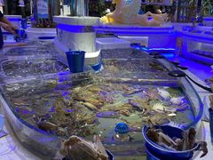 螃蟹-澜悦港海鲜体验主题餐厅