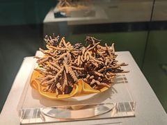 -青藏高原自然博物馆