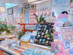 -猫的天空之城概念书店(束河店)