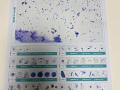 -谐和益家动物医院·免疫绝育·血液透析·宠保定点医院(高新伊藤分院)