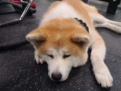 -YCHL Studios健身工作室(市二宫店)