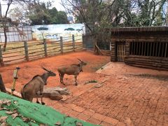 -昆明动物园