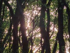 -汤山公园