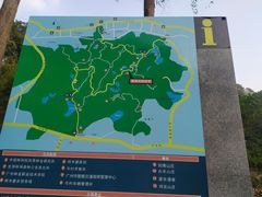 -火炉山森林公园