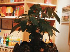 -忆见妈妈菜(银河城店)