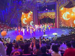 -珠海横琴长隆《卡卡虎奇遇记》