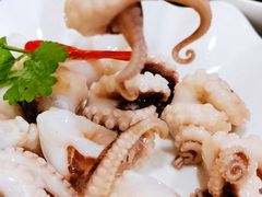 爽口八爪鱼-全渔村小海鲜