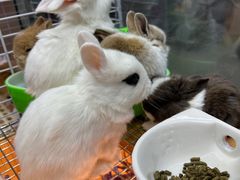 -三旗百汇商品城