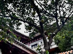 -顺峰山公园