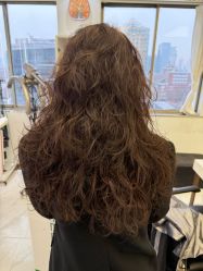 -镁连社·美联社