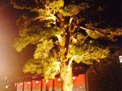 iphone_upload_pic-绳金塔