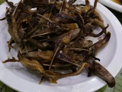-冯氏吴山贡鹅(206国道店)
