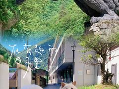 -神农架景区