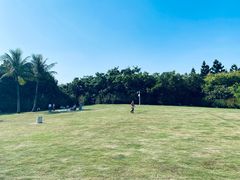-福田红树林生态公园