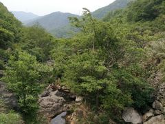 -东海大峡谷