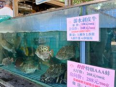 -荔城生鲜盛宴(番禺旗舰店)