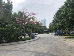 -棕榈泉国际高尔夫学院