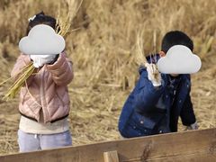 -满天星幼儿园(北京太阳宫园)