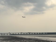 -宝安西湾红树林湿地公园