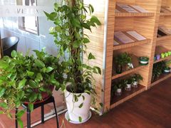 -一兆韦德(万源城店)