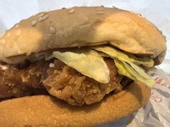 麦辣鸡腿汉堡-麦当劳(农光里店)