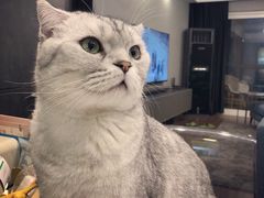 -芭比堂动物医院·犬猫全科·异宠专科(雁塔分院)
