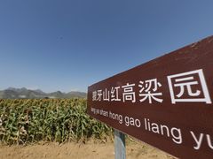 -狼牙山风景区