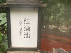 -融汇温泉