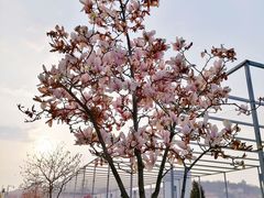 -汇泉广场