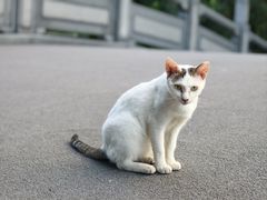 -荔湾湖公园